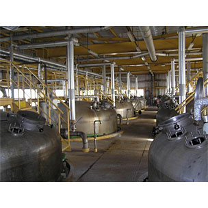 Citric Acid Plant - 23,000 TPY